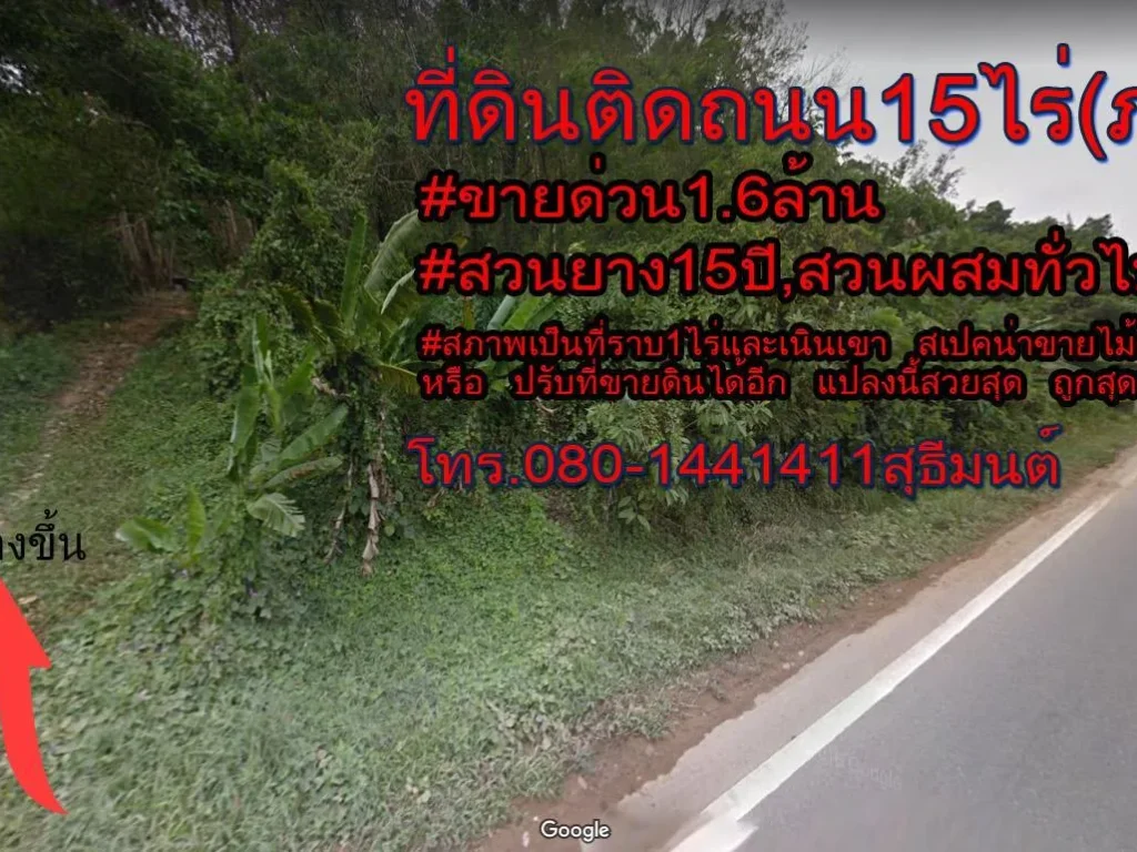 ที่ดินติดถนน เพชรเกษม4 15ไร่ ขายด่วน 16ล้าน โทร0801441411 สุธีมนต์ รุจเจริญพงษ์