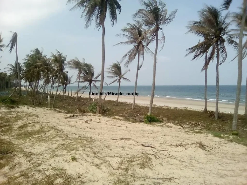 ที่ดินแปลงสวยติดชายหาดเงียบส่วนตัว