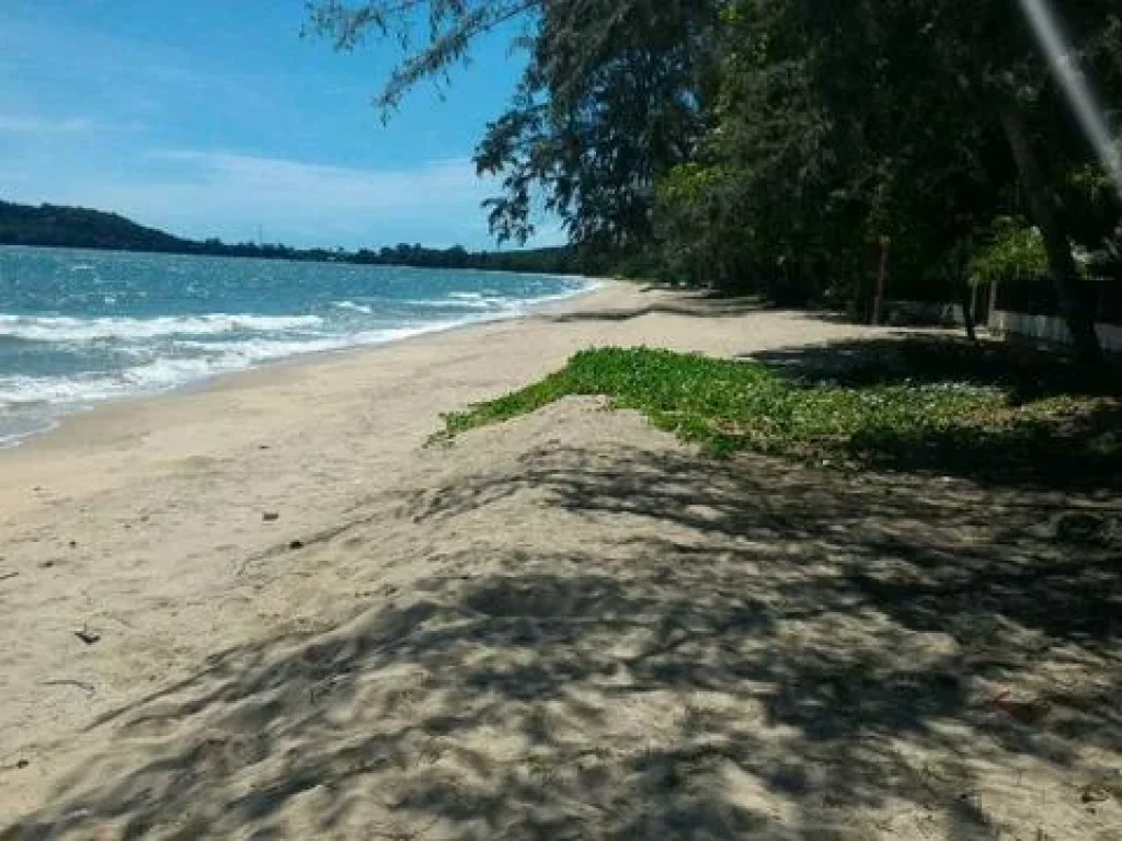 ขายถูก ที่ดินติดทะเล หาดส่วนตัว 3 ไร่ หาดสวยมาก