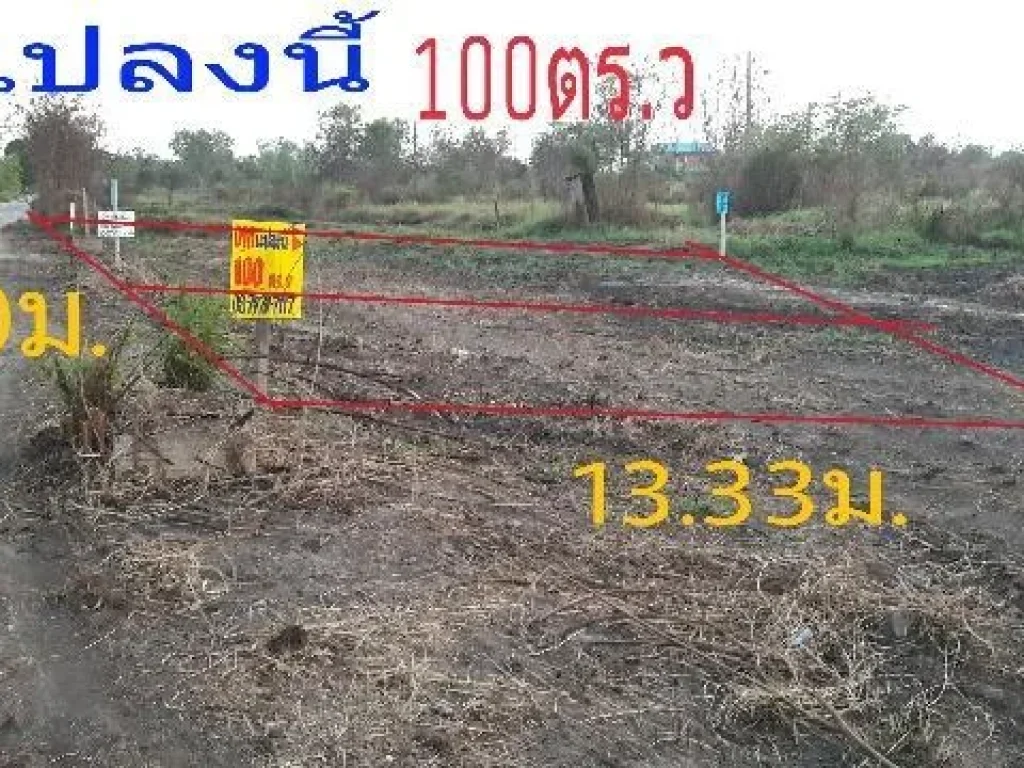 50 ตรวเพียง 250000-ย่านนพวงค์ ลาดหลุมแก้ว ปทุมฯ