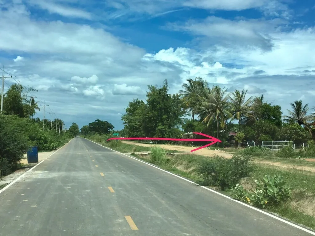 ที่ดินการเกษตรเหมาะที่จะทำสวนปลูกผักผลไม้21ไร่