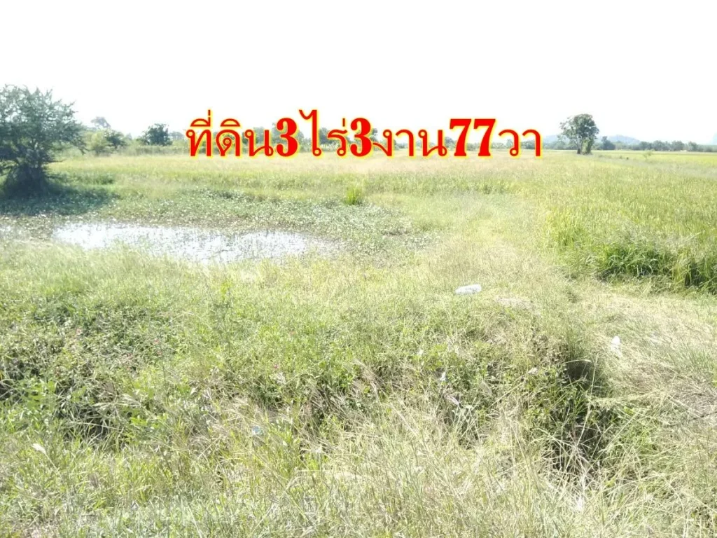 ขายที่ดิน3ไร่3งาน77ตรวา ในซอยชุมชนบ้านเตาปูนใกล้วัดโคกทอง โพธาราม ราชบุรี ขายเหมา14ล้านบาท