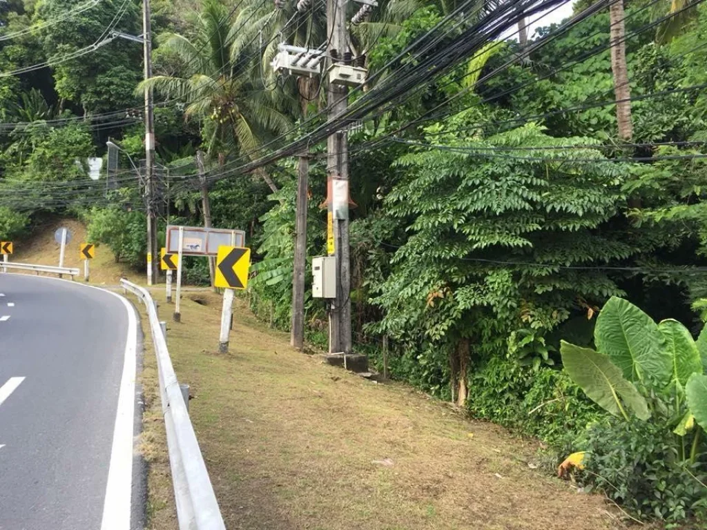 ขายที่ดินใกล้หาดกะหลิม ป่าตอง ติดกับร้านลาบเป็ด เนื้อที่25ไร่ ขายเหมา 110 ล้าน