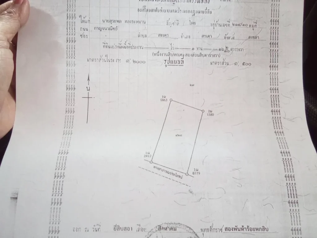 ที่ดินเปล่าในบ่อนวัวควรปริง