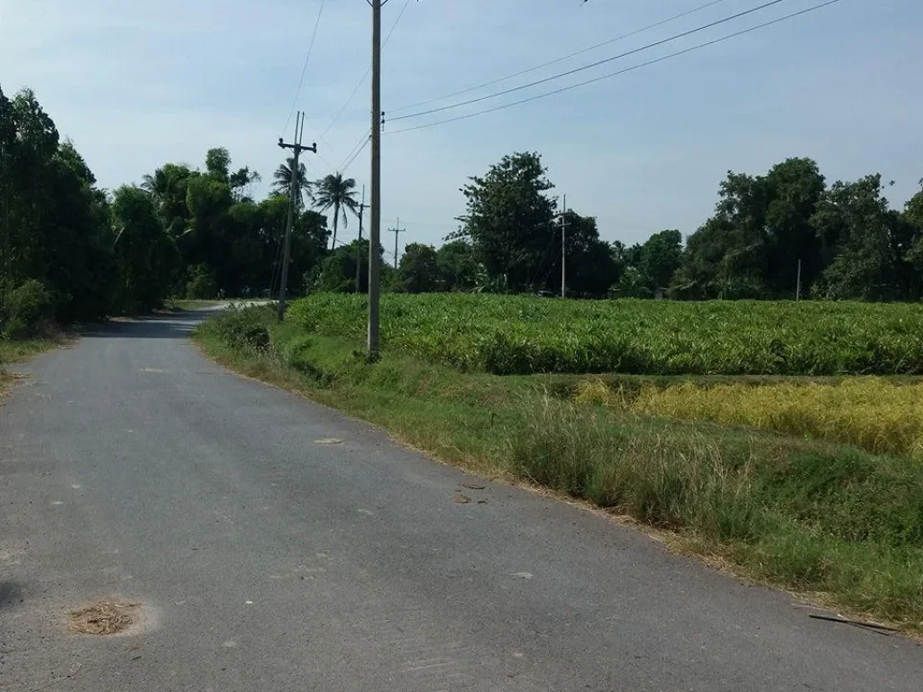 ที่ดินเป็นโฉนด 1 ไร่ ติดถนนลาดยาง ด้านข้างติดคลองลำลอง