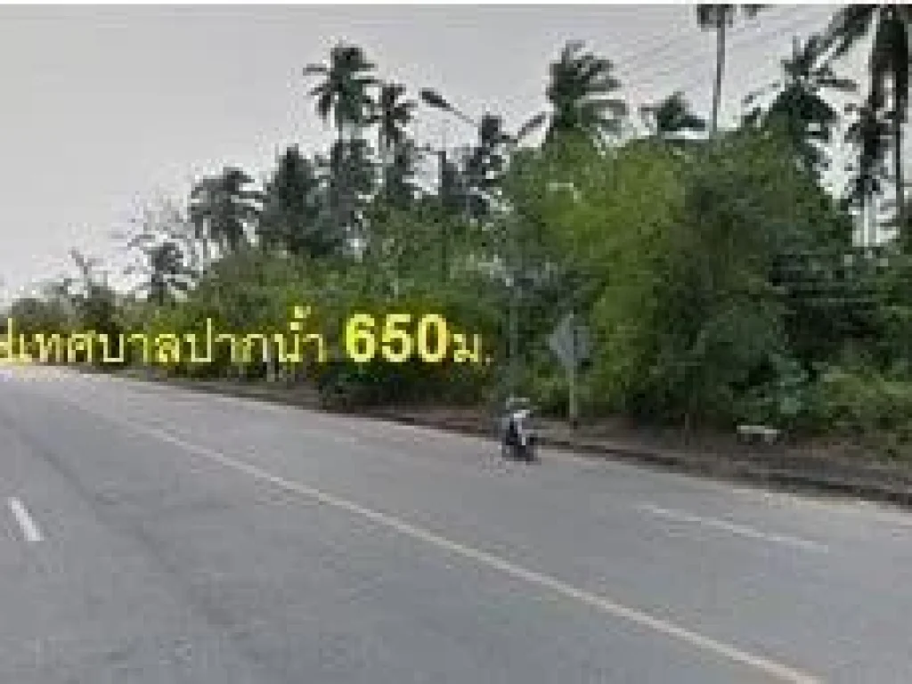 ขายที่ดินใกล้เทศบาลปากน้ำหลังสวนติดถนนใหญ่ 4 เลน 504 ตรว