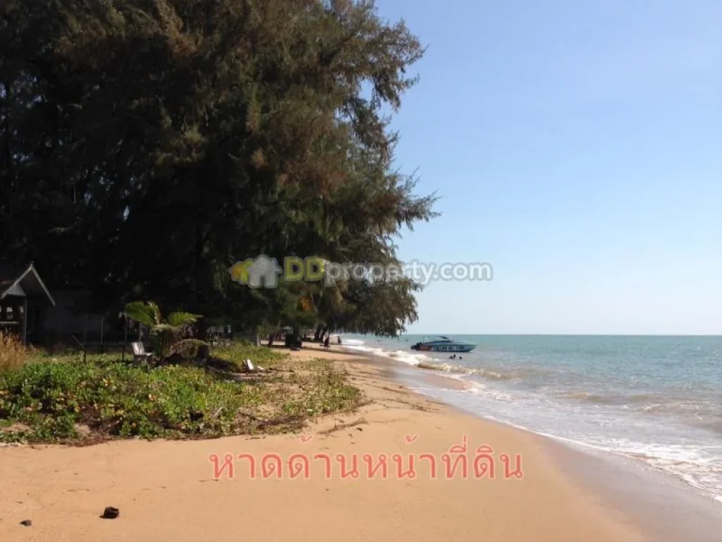 ขายที่ดินติดทะเลหาดส่วนตัว ราคาถูก ทำเลดี ทะเลและชายหาดสวยมาก