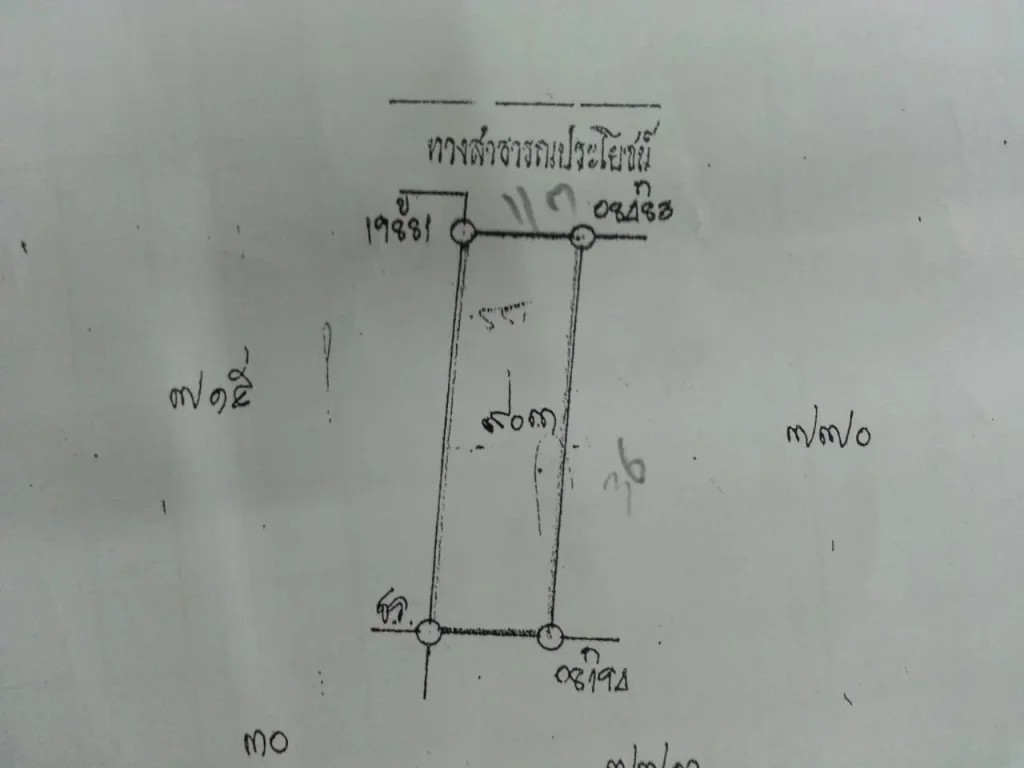 ที่ดินติดถนนคอนกรีต เนื้อที่ 100 ตรว ถธรรมบูชา ซอย 1 เข้าซอย 100 เมตร