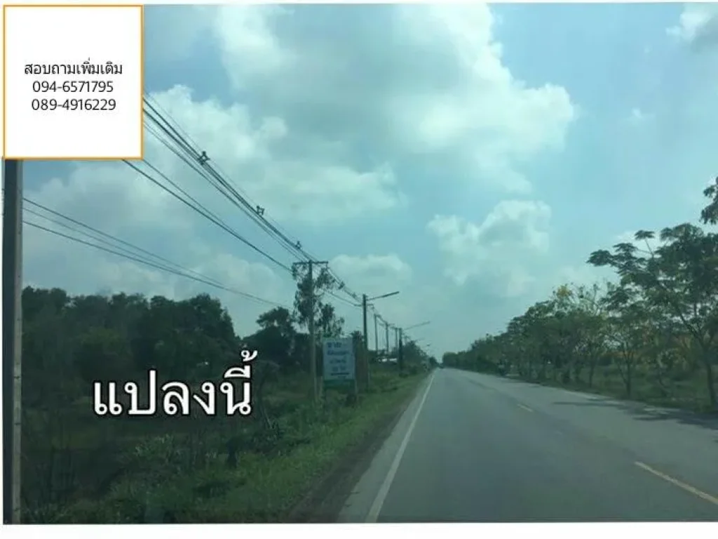 ขายที่ดิน 50 ไร่ วังน้อย อยุธยา