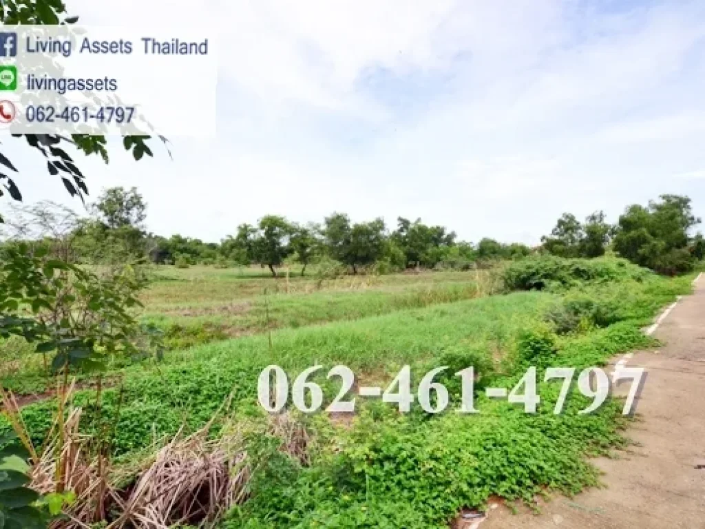 ขายที่ดิน 5 ไร่ แปลงมุม ถนนเลียบคลองสอง ซอยเอราวัณ ตำบลคลองสอง ปทุมธานี ธัญบุรี บี 062-461-4797