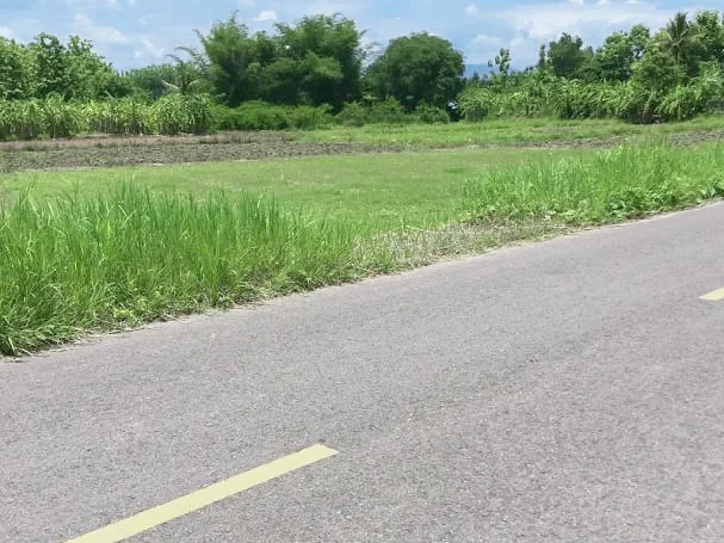 ขายที่สวนแม่ริม มีโฉนด ติดถนนซอย ห่างถนนหลัก 900 เมตร