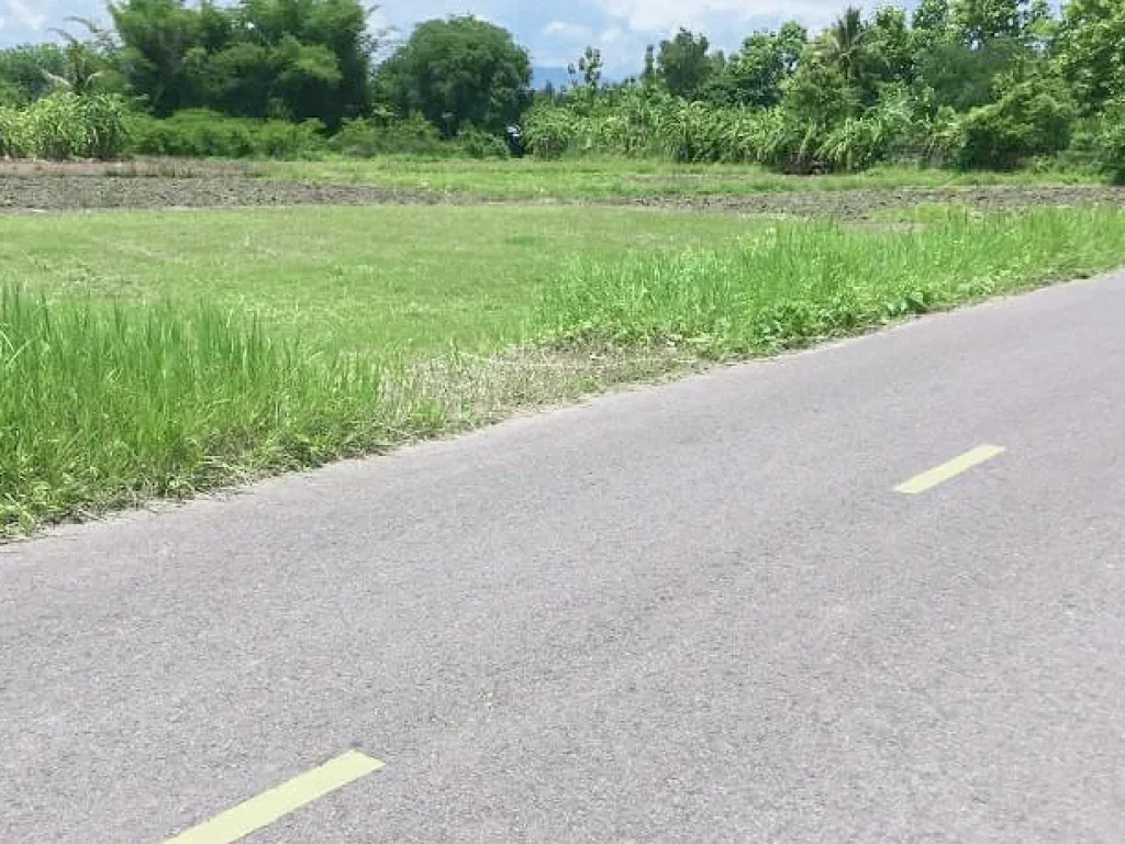 ขายที่สวนแม่ริม มีโฉนด ติดถนนซอย ห่างถนนหลัก 900 เมตร