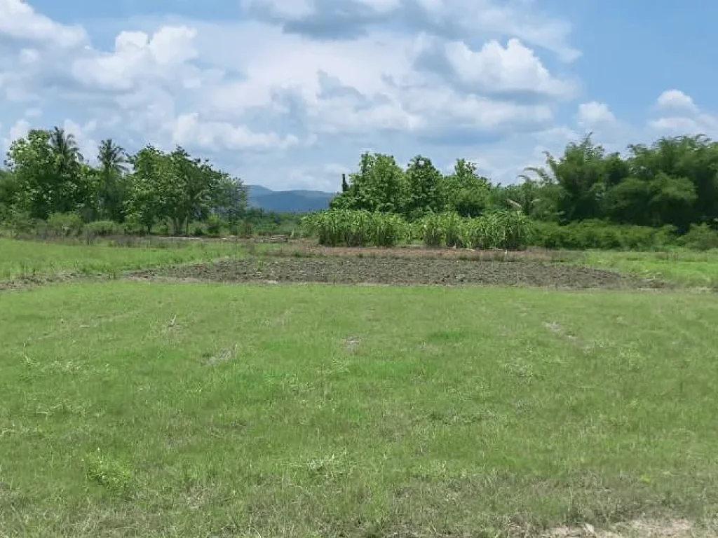 ขายที่สวนแม่ริม มีโฉนด ติดถนนซอย ห่างถนนหลัก 900 เมตร