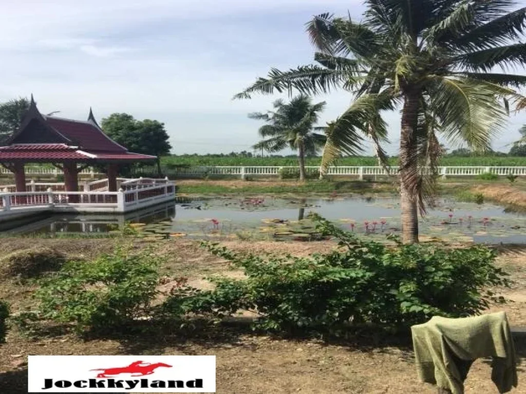 ขายบ้านเรือนไทย พร้อมที่ดิน 7 ไร่ 2 งาน มีสระบัว บรรยากาศร่มรื่น เรียบง่าย