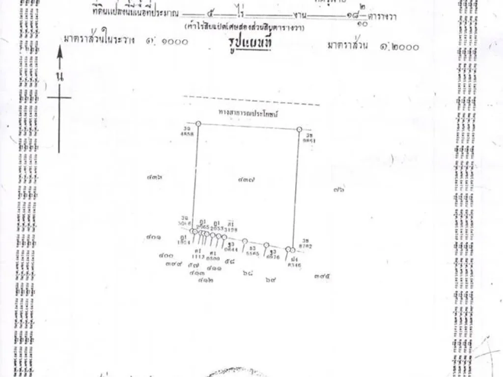 ขายที่ดิน10ไร่ พุทธมณฑลสาย2ซอยวัดบุณยประดิษฐ์แขวงบางไผ่ เขตบางแค กรุงเทพฯ หน้ากว้างติดถนนมากถึง 185 เมตร