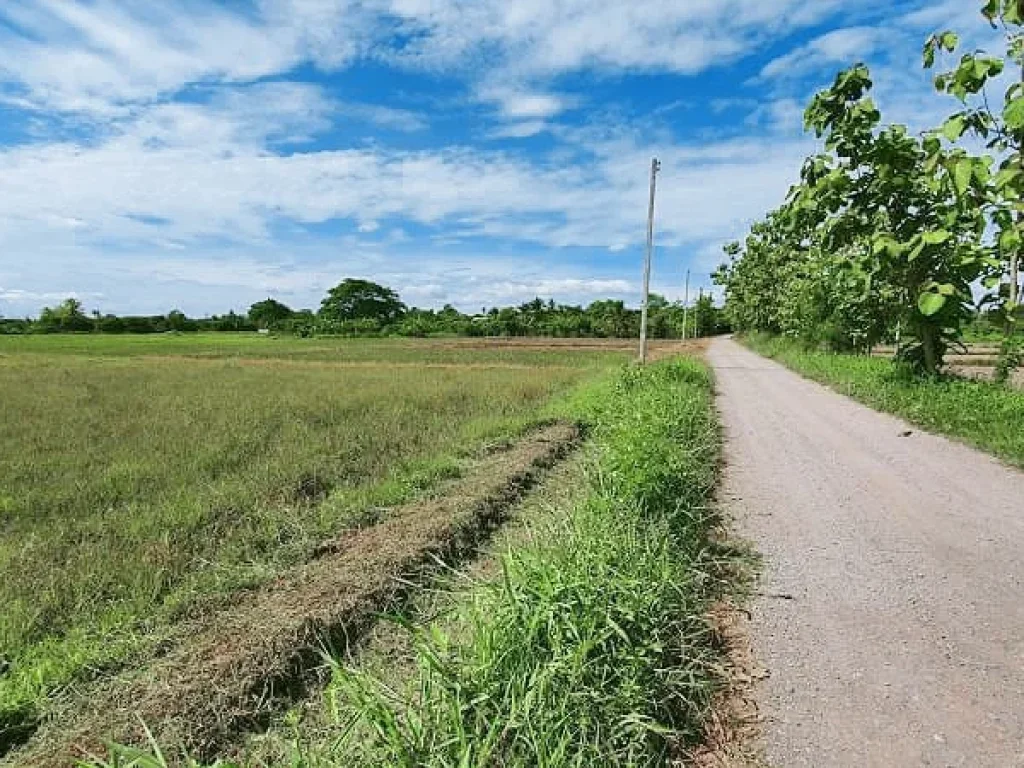 ขายที่ดินสันป่าตองเหมาะกับจัดสรร