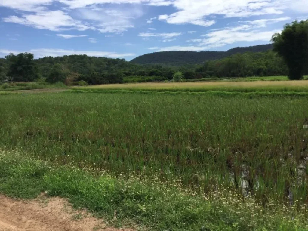 ขายที่ดินเห็นวิวดอย สันทราย เชียงใหม่