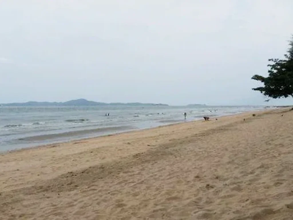 ขายที่ดินติดหาดจอมเทียนแค่ถนนกั้น 1 ไร่ 407 ตรว