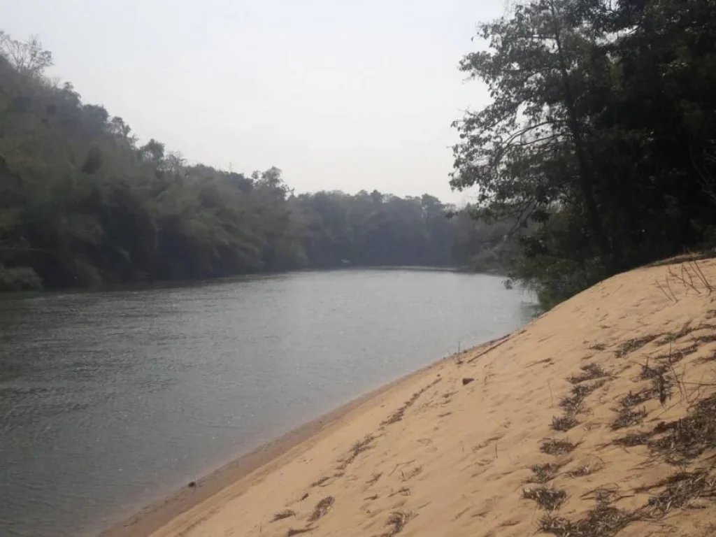 ขายที่ดินโฉนดริมน้ำแควน้อยมีหาดทรายส่วนตัวน้ำเขียวสะอาดลงเล่นน้ำได้ ตลุ่มสุ่ม อไทรโยค จกาญจนบุรี