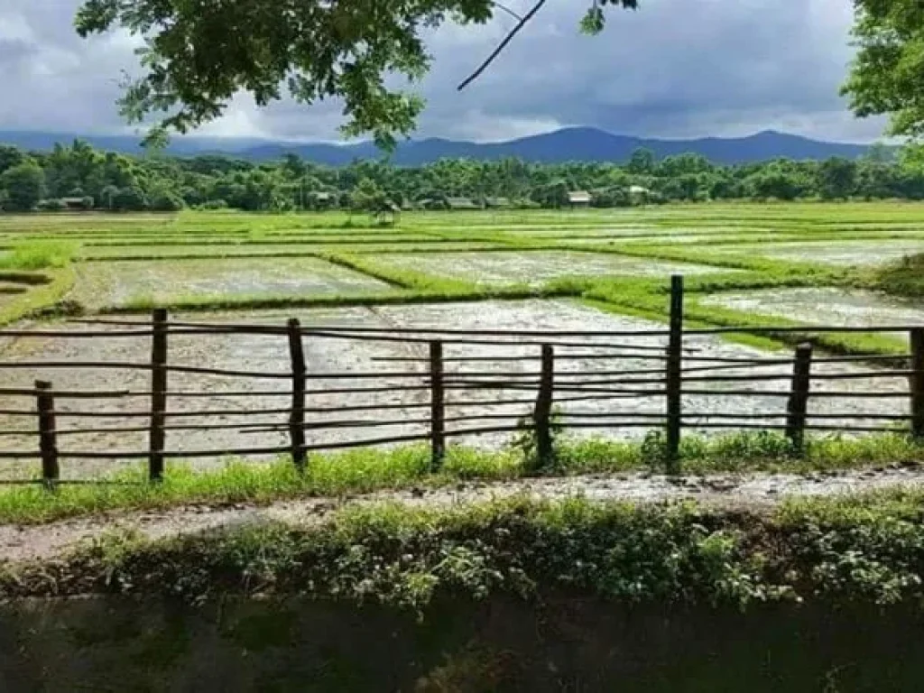 ขายที่ดินแม่ริม ไกล้โรงเรียนนานาชาติเปรม ห่างเมือง 24 km