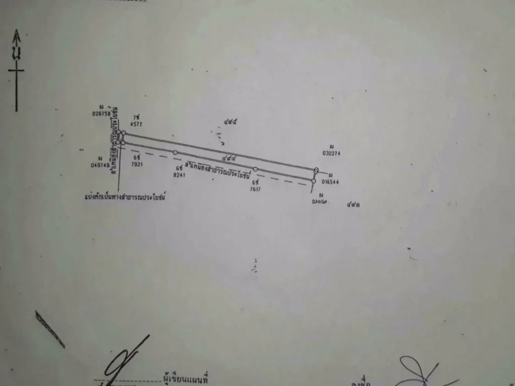 ขายสวนลำใยพญาชมภู 2 โฉนด ราคาถูก