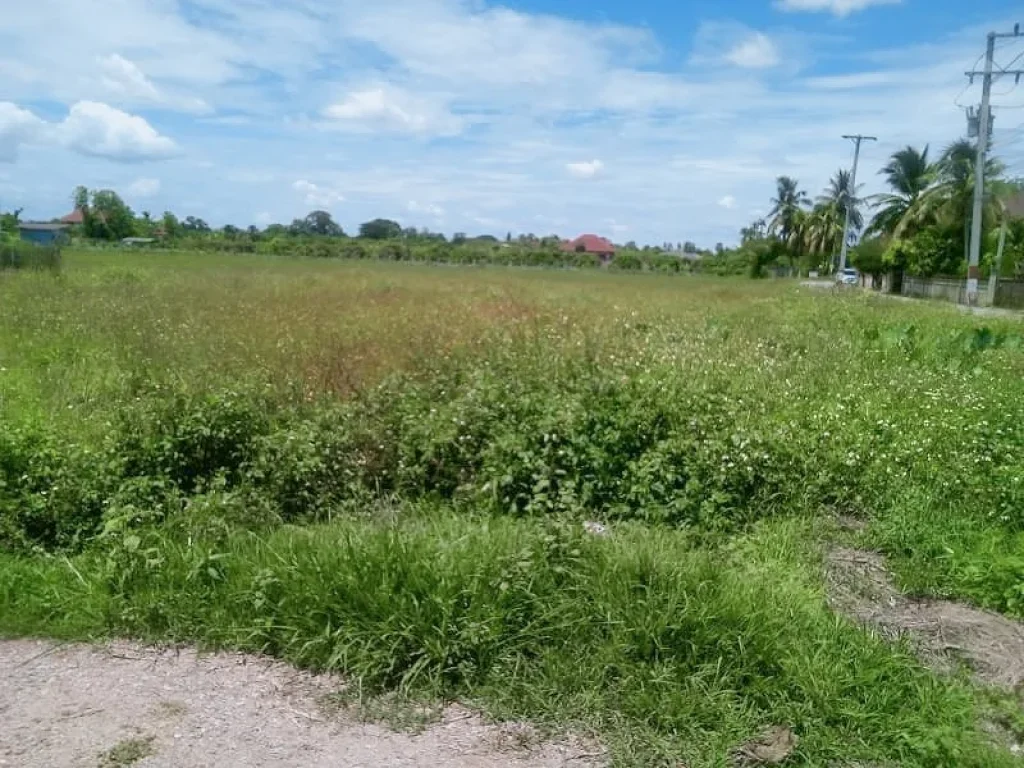 ขายที่ดินบ้านกอง หางดง ติดถนนซอย ค้าขายได้