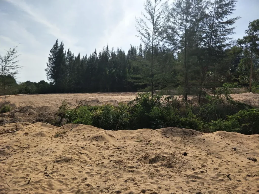 ขายด่วนเจ้าของขายเอง ที่ดินติดคลองบางสน ติดทะเลหาดบางสน อปะทิว จชุมพร