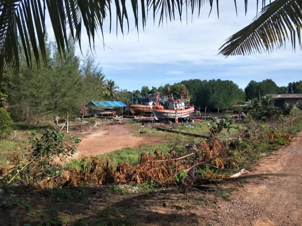 ขายด่วนเจ้าของขายเอง ที่ดินติดคลองบางสน ติดทะเลหาดบางสน อปะทิว จชุมพร