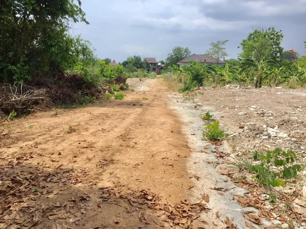 ที่ดินแปลงเล็กสำหรับสร้างบ้าน วัดเขาคันธมาทน์ แยกเจ สัตหีบ