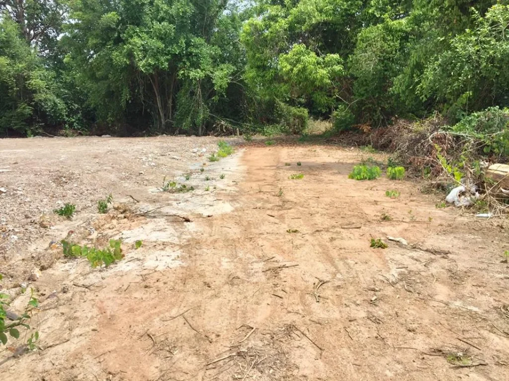 ที่ดินแปลงเล็กสำหรับสร้างบ้าน วัดเขาคันธมาทน์ แยกเจ สัตหีบ