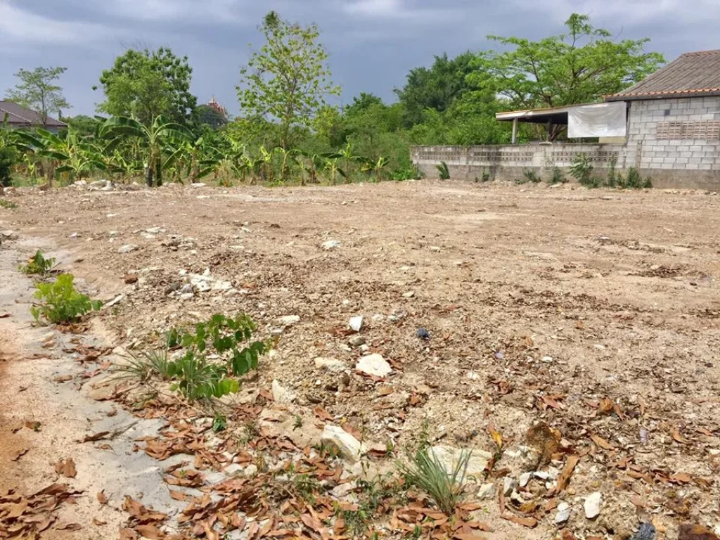 ที่ดินแปลงเล็กสำหรับสร้างบ้าน วัดเขาคันธมาทน์ แยกเจ สัตหีบ