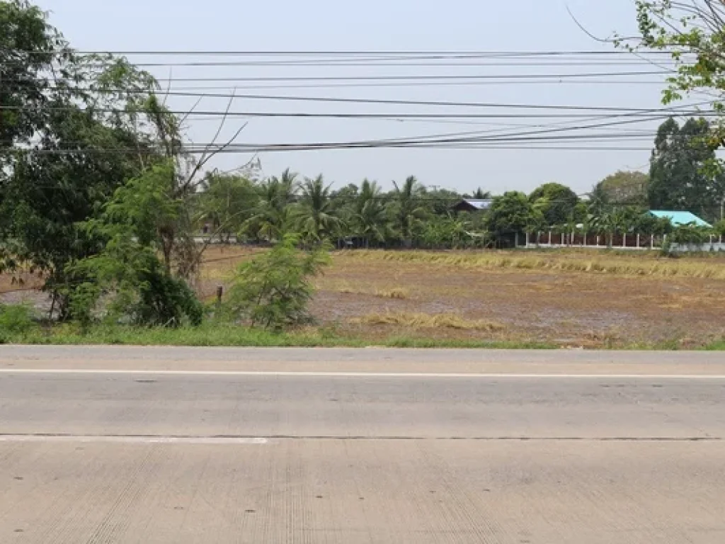 ที่ดินเปล่า ติดถนน สุพรรณบุรี-ชัยนาท ตเดิมบาง อเดิมบางนางบวช จสุพรรณบุรี