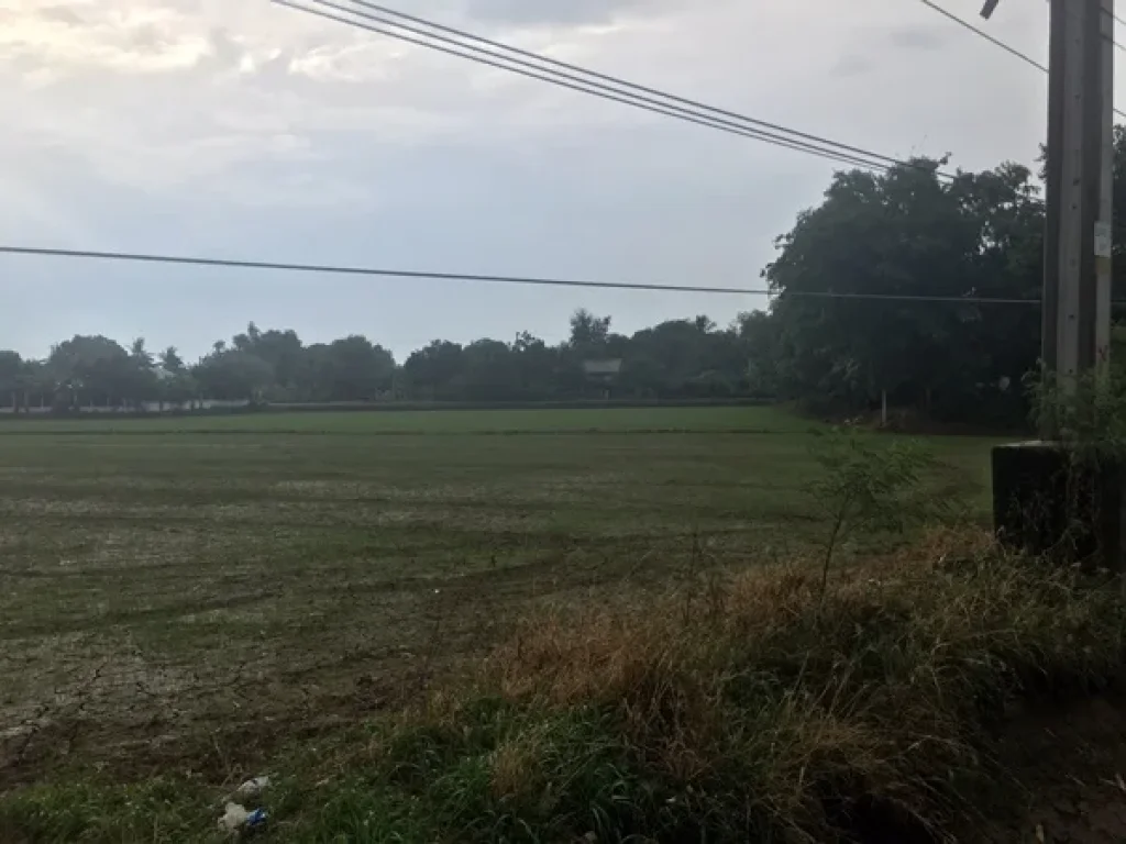 ที่ดินเปล่า ติดถนน สุพรรณบุรี-ชัยนาท ตเดิมบาง อเดิมบางนางบวช จสุพรรณบุรี