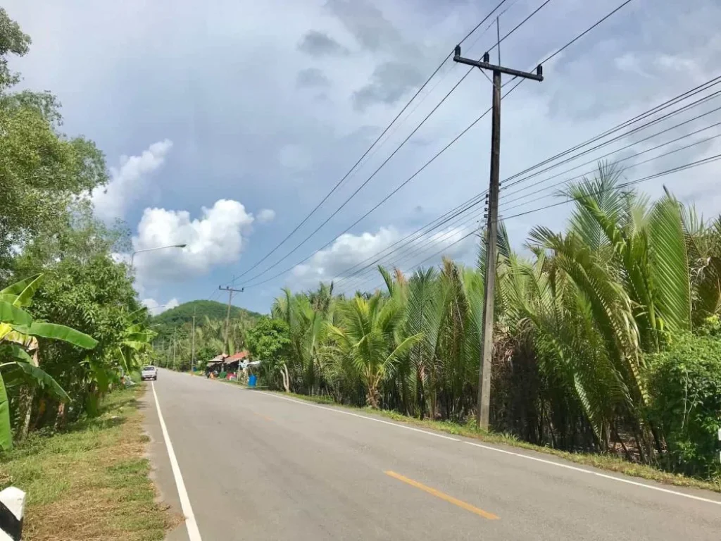 ขายที่ดินอำเภอกันตัง จังหวัดตรัง 13 ไร่เศษ ทางเข้าร้านอาหารครัวลำพู