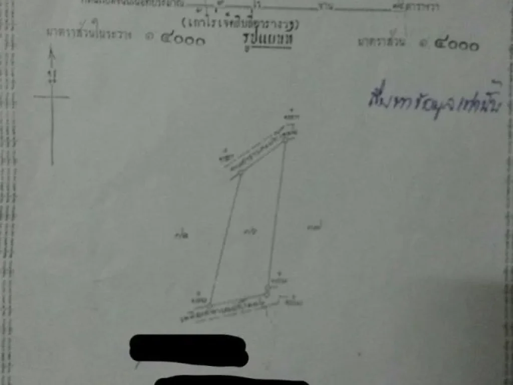 ขายที่ดิน สองแปลง 17 ไร่ และ 9 ไร่ ไร่ละ 8 แสน ต ศิลาลอย อ สามร้อยยอด