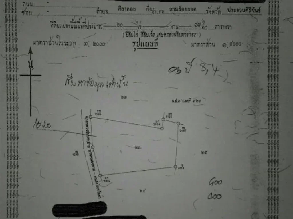 ขายที่ดิน สองแปลง 13 ไร่ และ 20 ไร่ ไร่ละ 45 แสน ต ศิลาลอย อ สามร้อยยอด