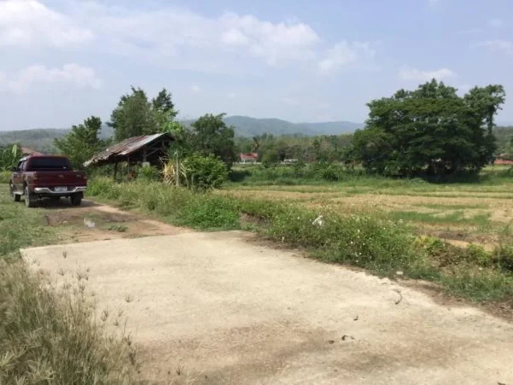 ที่โฉนด ที่นาวิวภูเขา ติดน้ำแม่ริม บรรยากาศดี ห่างจากถนนแม่ริม-บ้านไร่ 15 กม