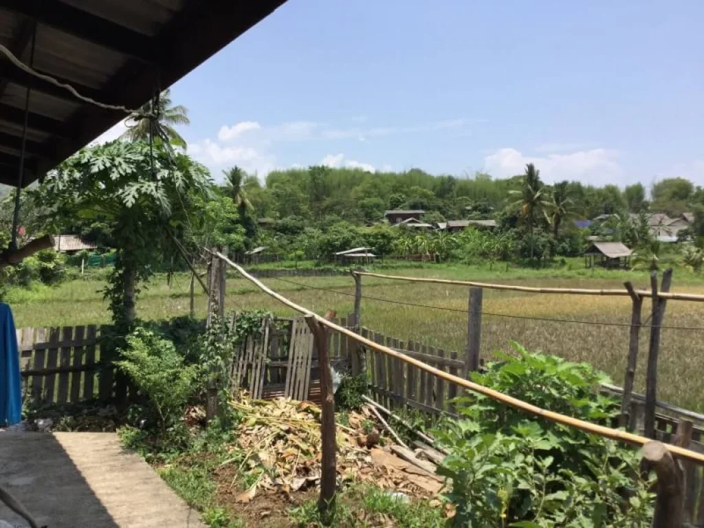 ขายบ้านพร้อมที่ดินห่างโรงเรียนเปรมแม่ริม 15 km