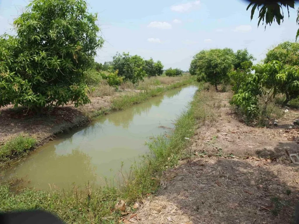 ขายที่ดินสวนเกษตร 5 ไร่ มีน้ำไฟ ติดถนนลาดยาง 70 เมตร อำเภอเมือง จังหวัดสุพรรณบุรี