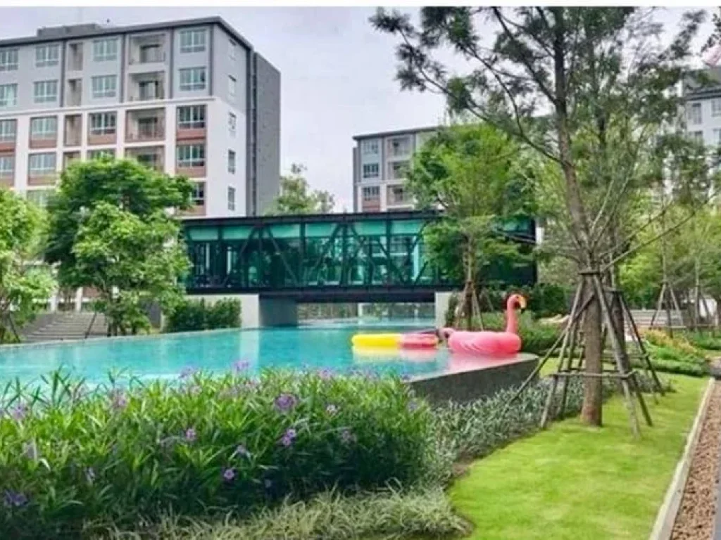 New Condo for rent near Central Festival D condo ping by Sansiri PLC