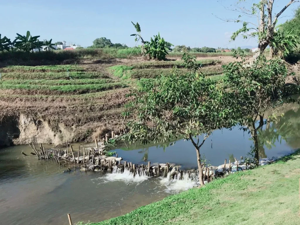 ขายที่ดินติดลำเหมือง ไกล้พรอมมาดาด้า ตลาดเจริญ เจริญ