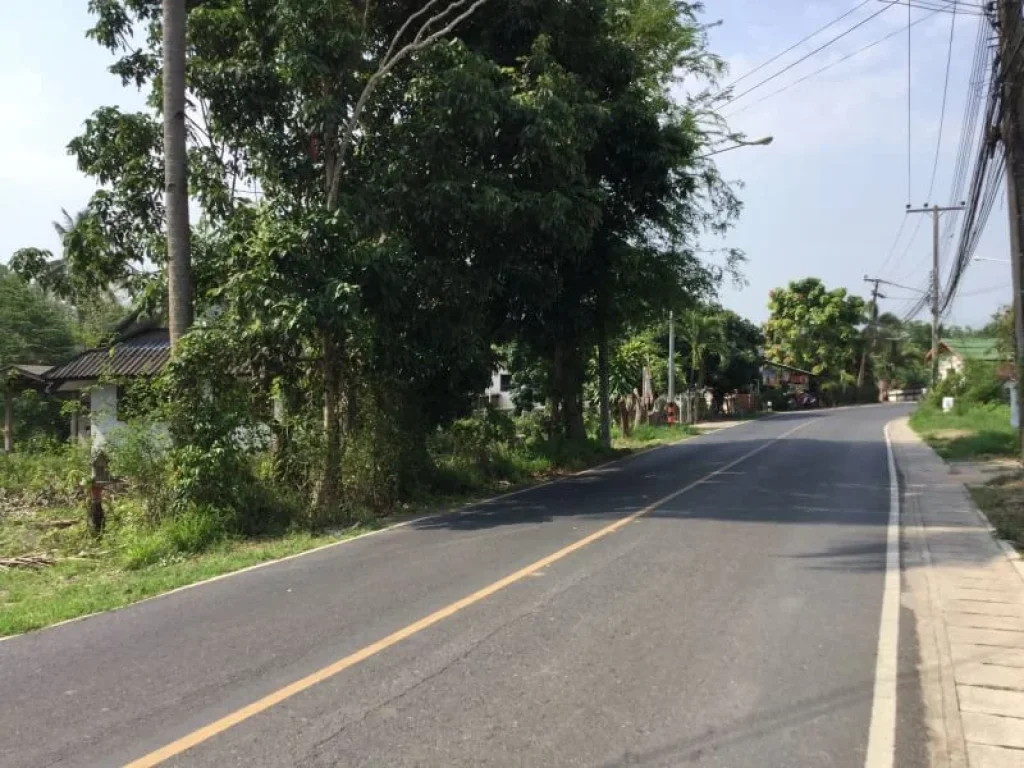 ขายที่ดินติดถนนพร้อมบ้านเก่า ห่างโรงเรียนเปรม 3km