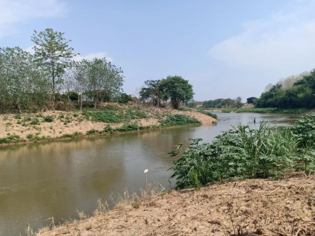 ขายที่ดินบ้านซาง แม่ริม ติดน้ำปิง ราคาถูก