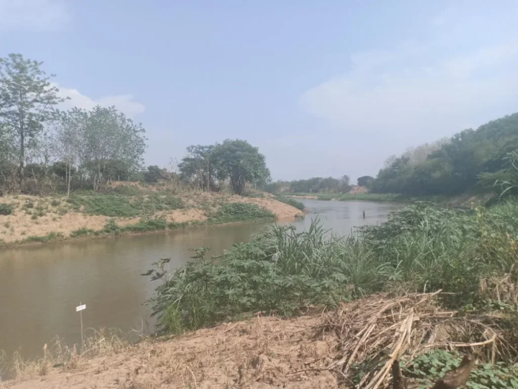 ขายที่ดินบ้านซาง แม่ริม ติดน้ำปิง ราคาถูก