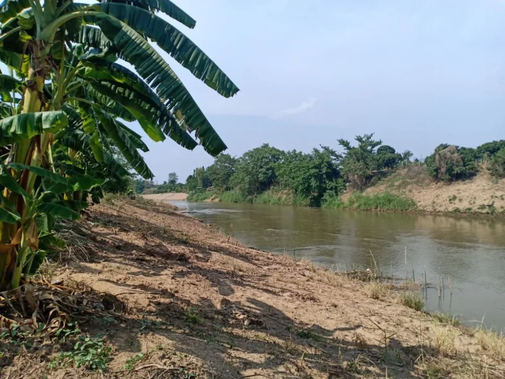 ขายที่ดินบ้านซาง แม่ริม ติดน้ำปิง ราคาถูก