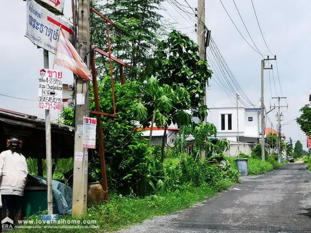 ขายที่ดินแปลงใหญ่รวม 3 โฉนด ถนนคลองหลวง-คลองหนึ่ง พื้นที่รวม 4-2-309ไร่ ใกล้มหาวิทยาลัยกรุงเทพใกล้มธรรมศาสตร์รังสิต ขายต่ำกว