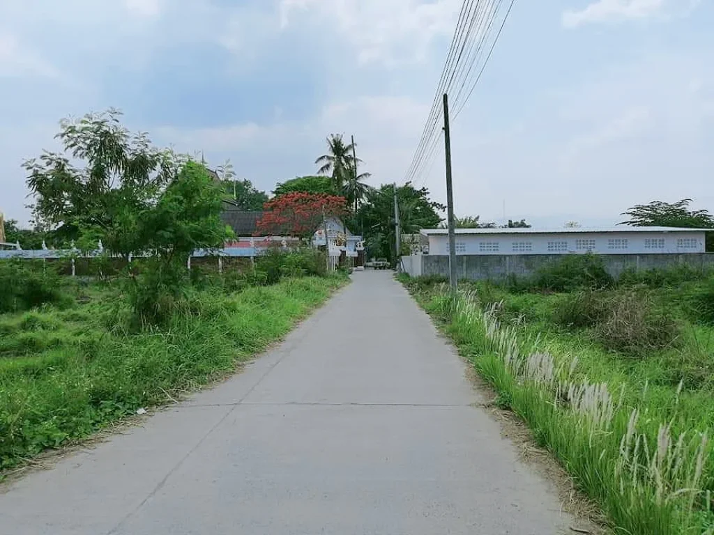 ขายที่ดินห่างพรอมมาดาด้า 2 km ราคาถูก