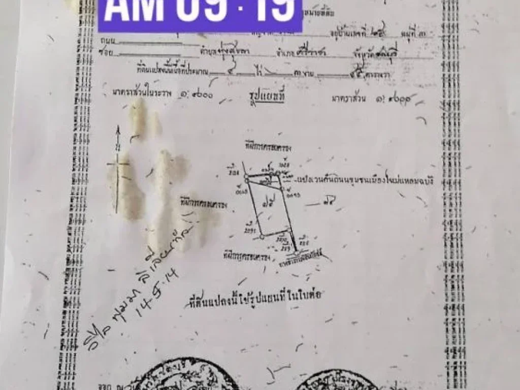 ขายที่ดินพร้อมที่พัก5หลังๆใหญ่ มี3ห้องนอนไม้สักทั้งหลังอยู่แหลมฉบังศรีราชาขายเหมา เพ็ญ