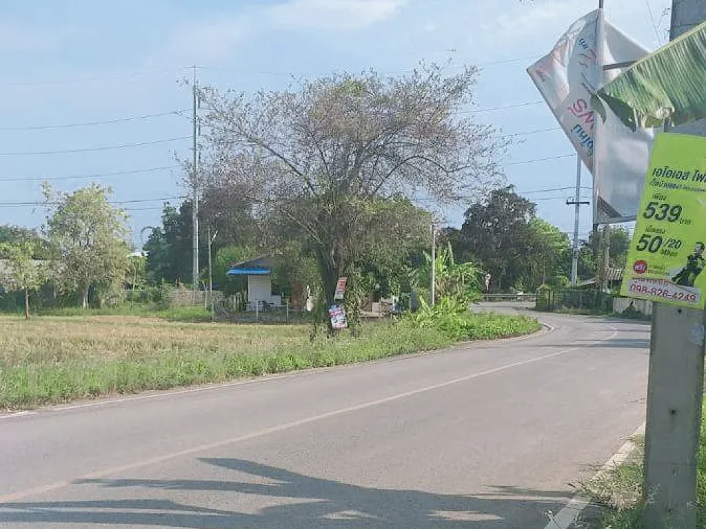 ขายที่ดินจัดสรรเก่า หางดง ถนนคอนกรีต