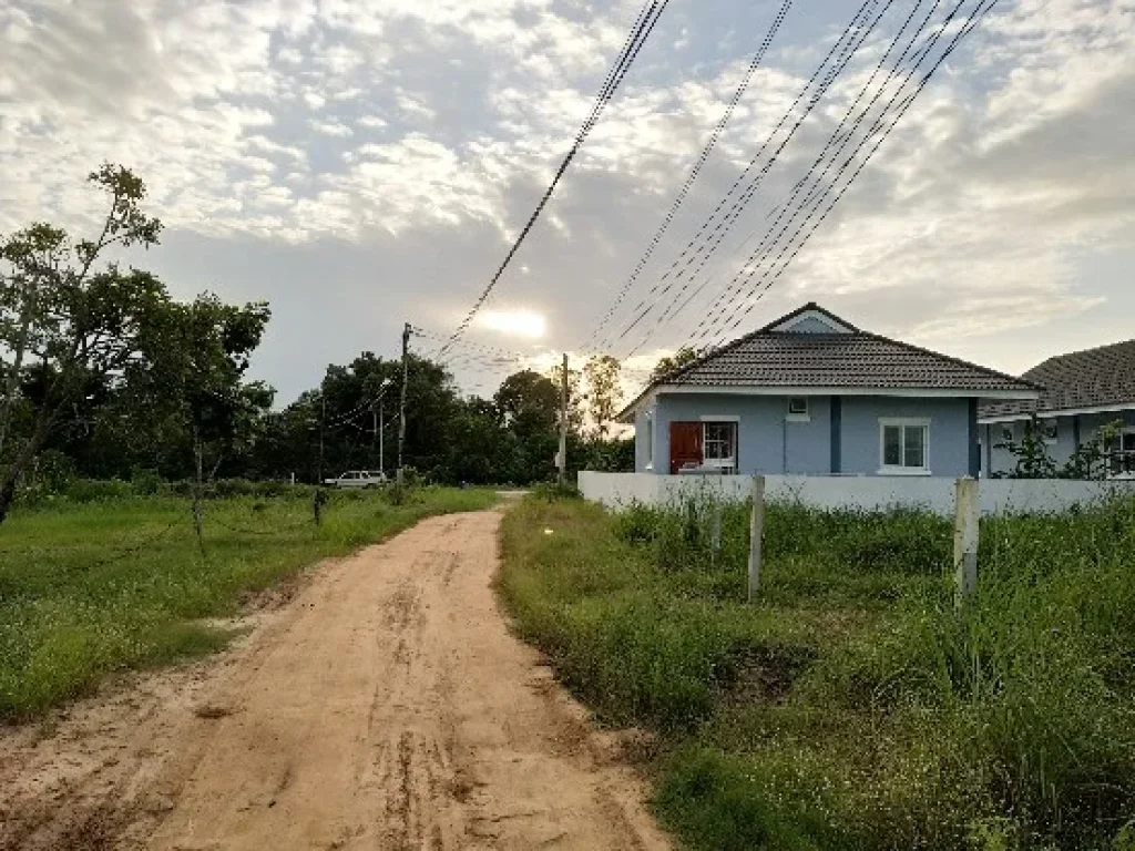 ขายที่ดินเปล่า 100 ตรว ในตัวเมืองกาฬสินธุ์ เหมาะสำหรับสร้างบ้าน